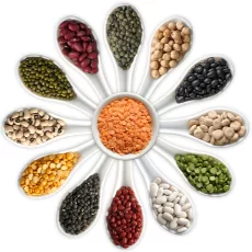 Grains Dal & Pulses